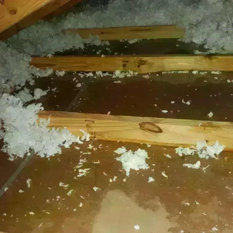 Attic Water Damage in Gurabo Municipio, PR